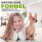 Preview: Reinex 250g, Ameisenpulver, Ameisenmittel, Ameisen Streumittel, Mittel gegen Insekten, zum Streuen und Gießen Ameisenstopp, Ameisenköder für den Innen und Außenbereich geeignet